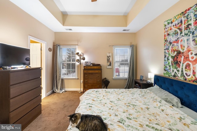 carpeted bedroom featuring a raised ceiling