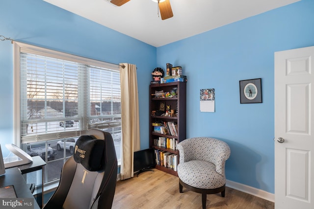 office with ceiling fan and light hardwood / wood-style floors