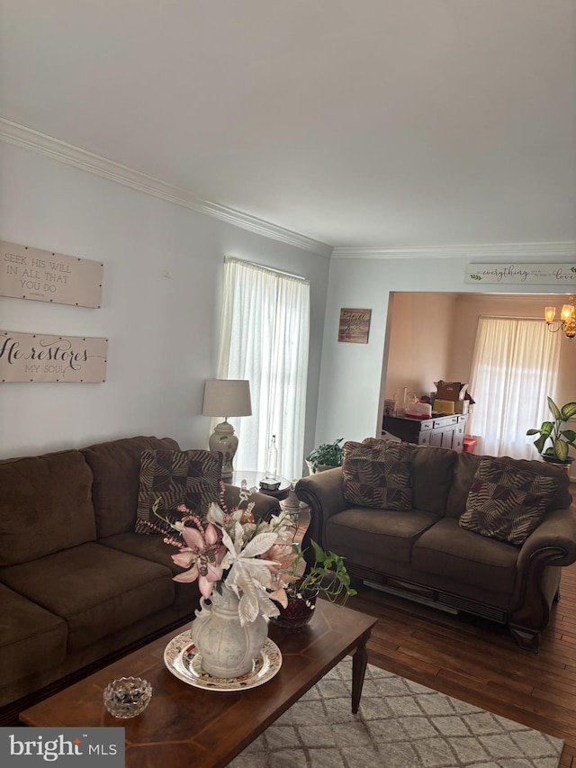 living room featuring crown molding, hardwood / wood-style floors, and a notable chandelier