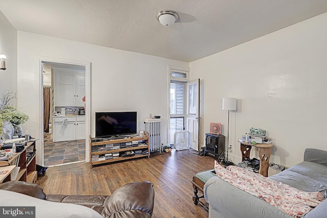 living room featuring a wood stove and wood finished floors
