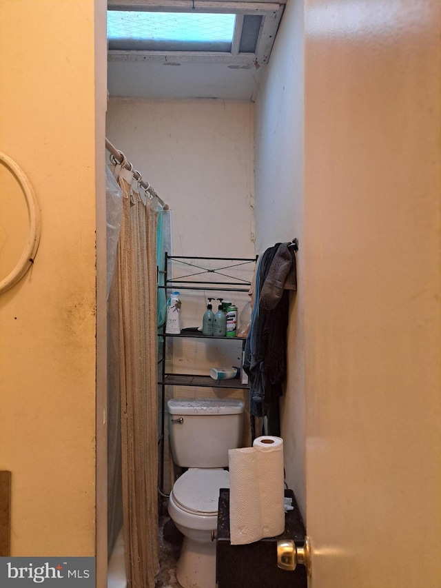 bathroom featuring toilet and a shower with curtain