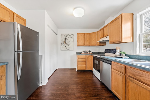 kitchen featuring stainless steel appliances, sink, and dark hardwood / wood-style flooring