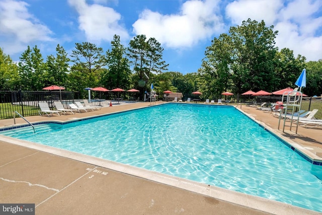 view of pool featuring a patio