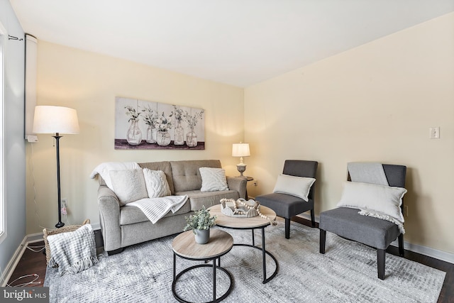 living room with hardwood / wood-style flooring