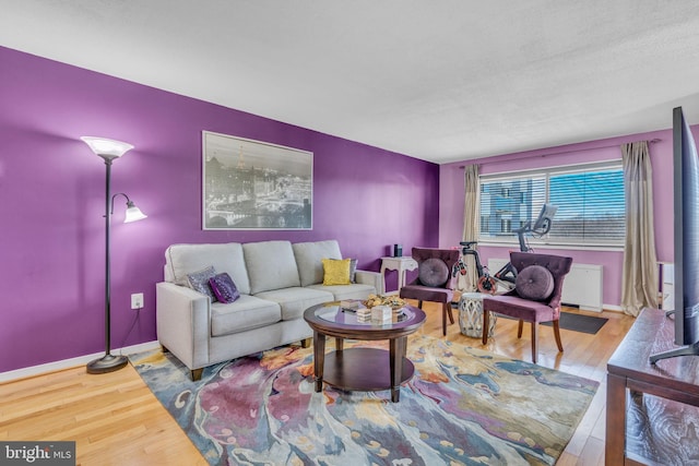 living room with radiator and hardwood / wood-style flooring