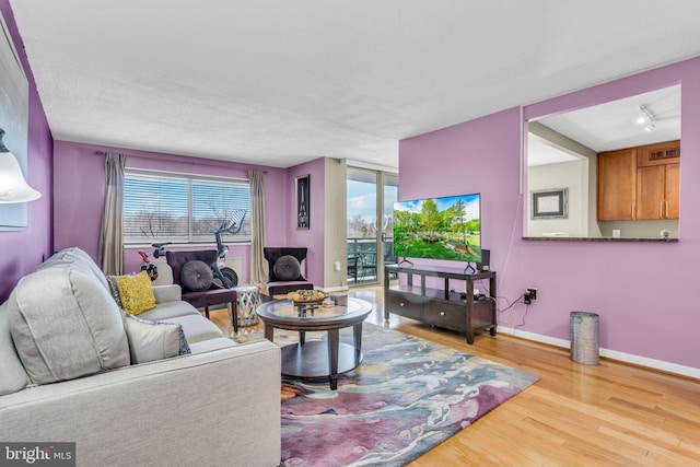 living room featuring light hardwood / wood-style floors