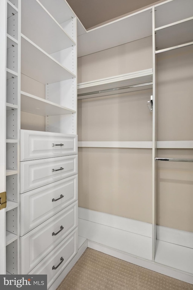 view of walk in closet