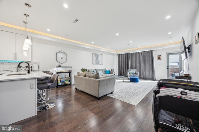 living room with sink, dark wood-type flooring, and a raised ceiling