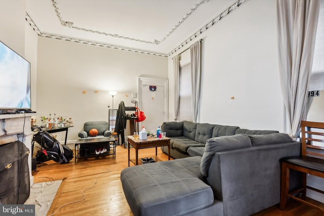 living room featuring wood-type flooring