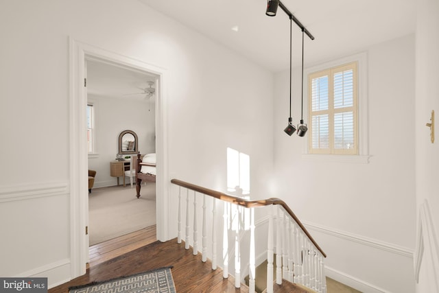 staircase featuring hardwood / wood-style floors