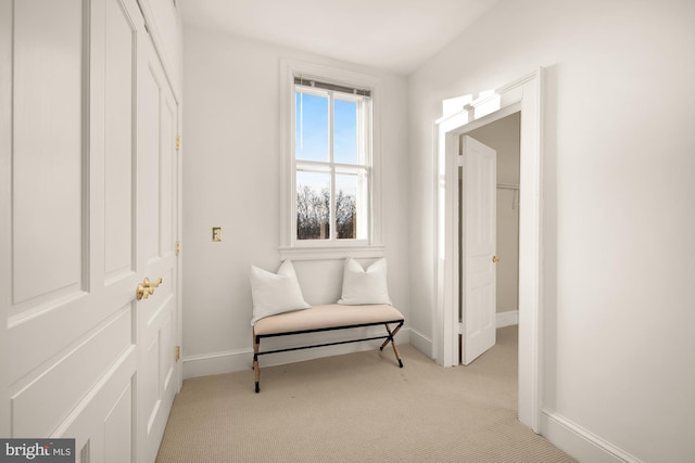 living area with light colored carpet