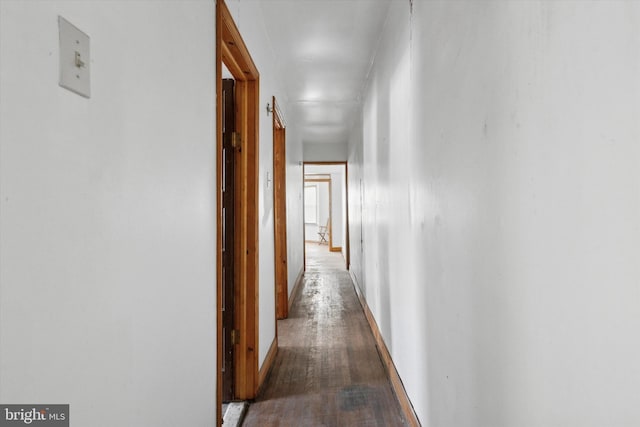 hallway featuring hardwood / wood-style floors