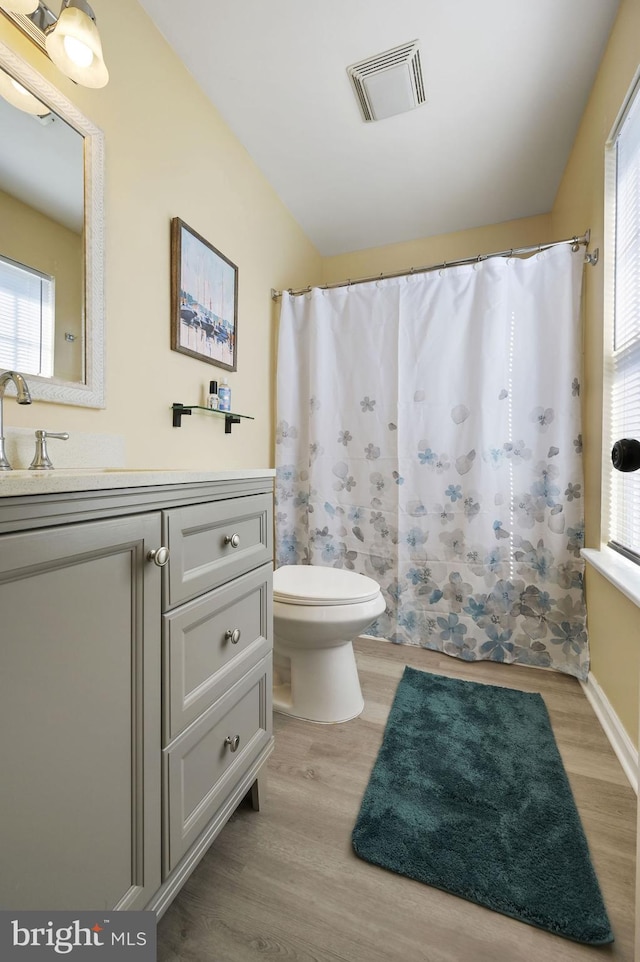 bathroom featuring vanity, wood-type flooring, and toilet