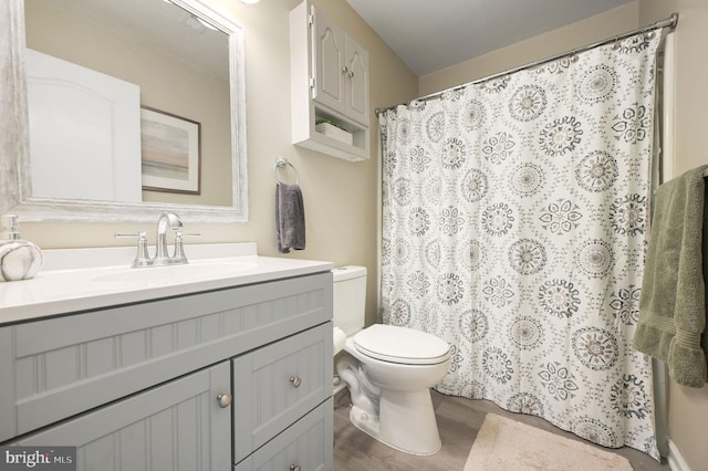 bathroom featuring vanity, hardwood / wood-style flooring, and toilet