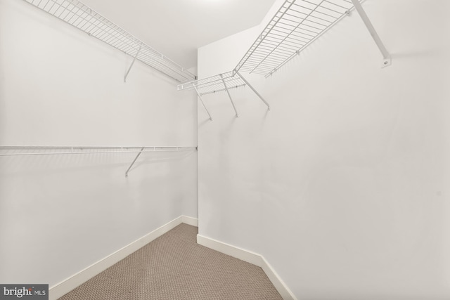 walk in closet with light colored carpet