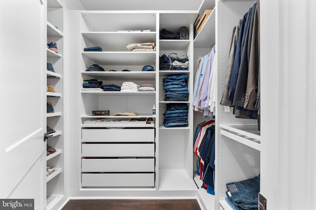 view of spacious closet