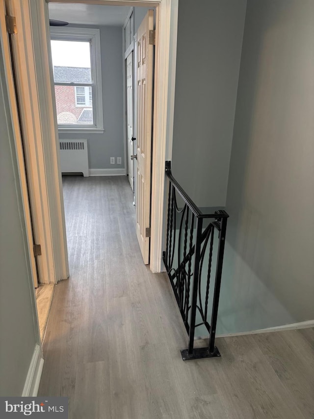 hallway featuring radiator and light hardwood / wood-style flooring