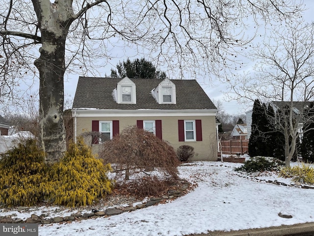 view of cape cod house