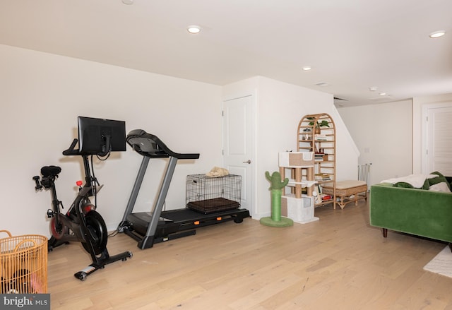 workout area featuring light wood-type flooring