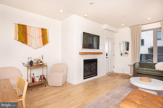 living room featuring light hardwood / wood-style flooring