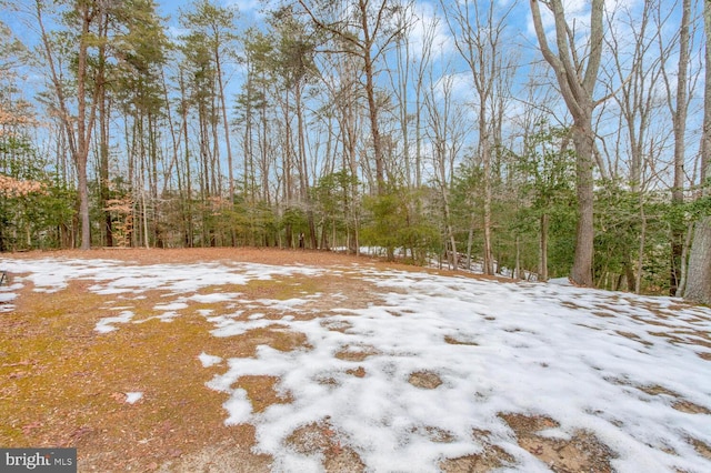 view of yard covered in snow