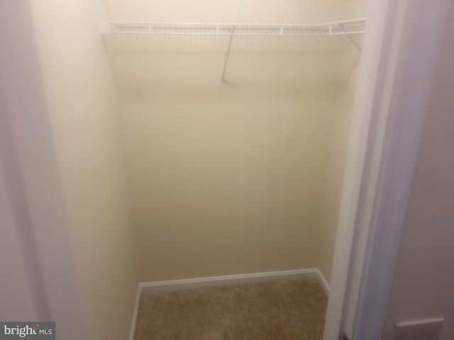 view of closet