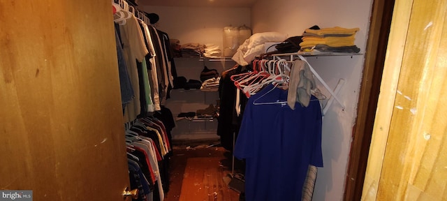 walk in closet featuring dark hardwood / wood-style floors