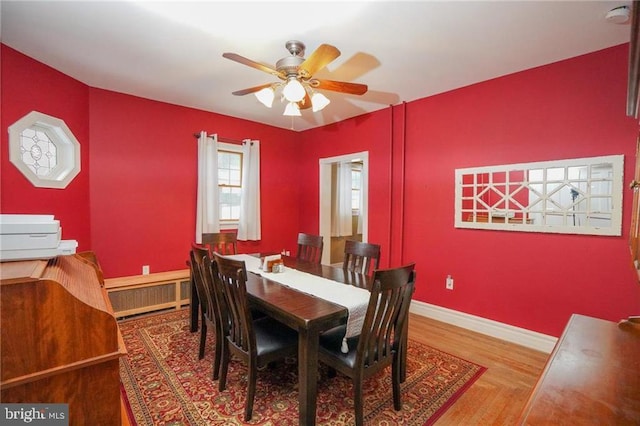 dining room featuring ceiling fan and hardwood / wood-style floors