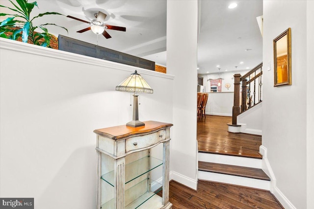 staircase with ceiling fan and wood-type flooring