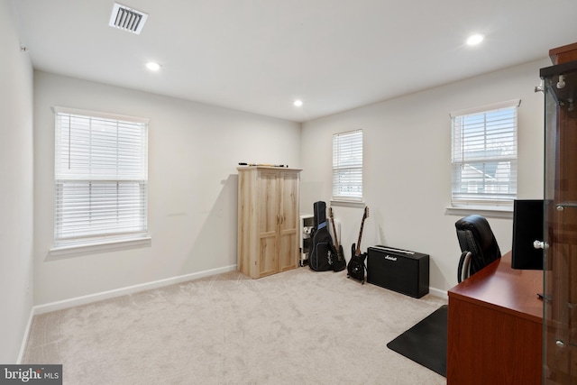 office area featuring carpet and a wealth of natural light