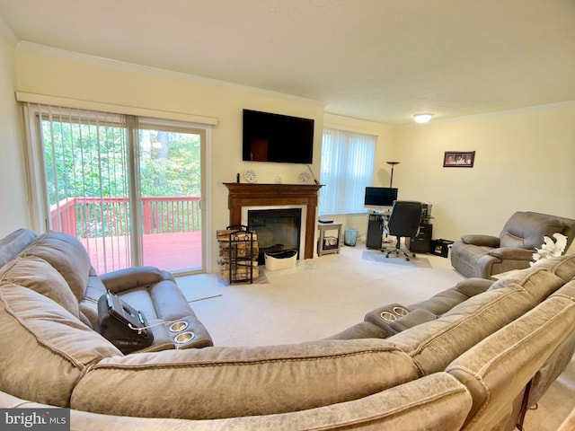 living room with crown molding and carpet