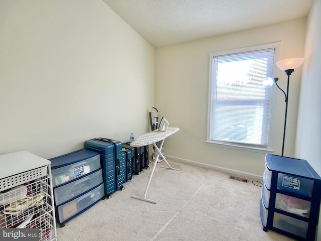 miscellaneous room featuring light carpet and a textured ceiling