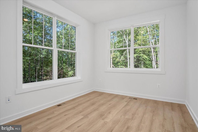 spare room featuring light wood-type flooring and a wealth of natural light