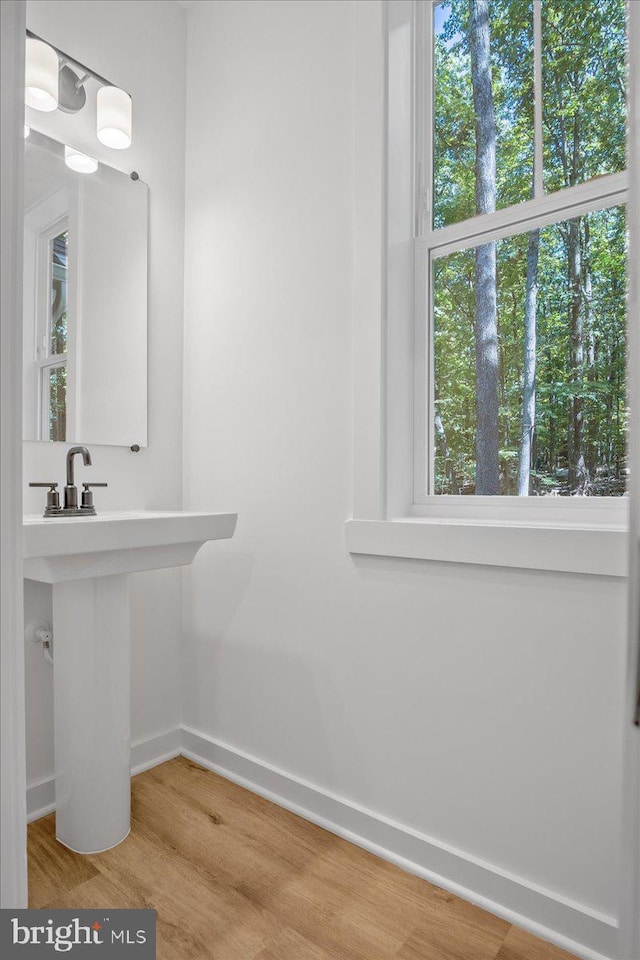 bathroom featuring wood-type flooring