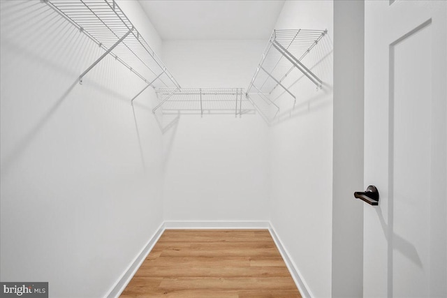 spacious closet with hardwood / wood-style flooring