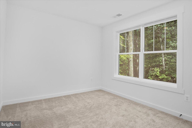 spare room featuring light colored carpet