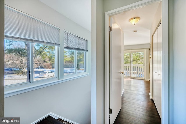 hallway featuring dark wood-type flooring