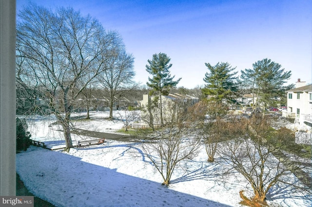 view of snowy yard