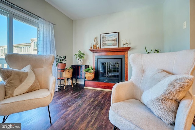 living area featuring dark hardwood / wood-style flooring