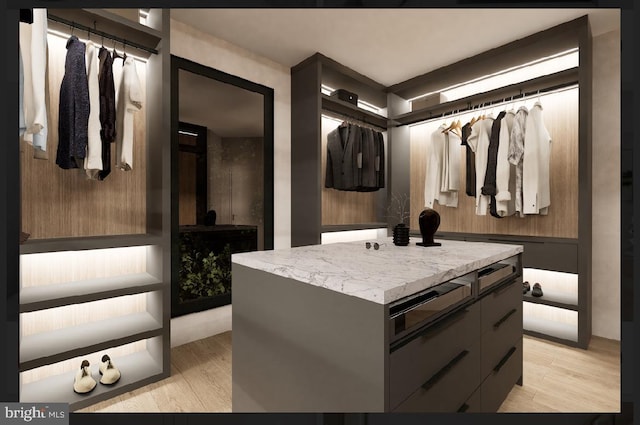 spacious closet with light wood-type flooring