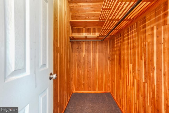 walk in closet with carpet