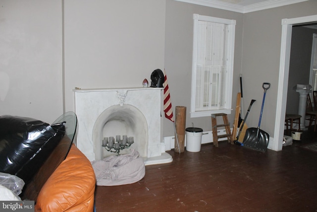 details with ornamental molding and wood-type flooring