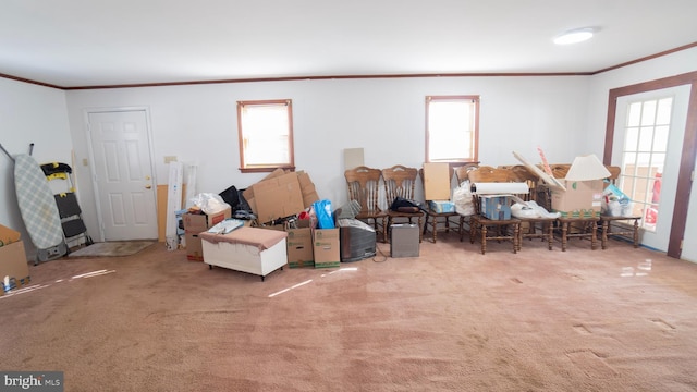 interior space featuring carpet floors and ornamental molding