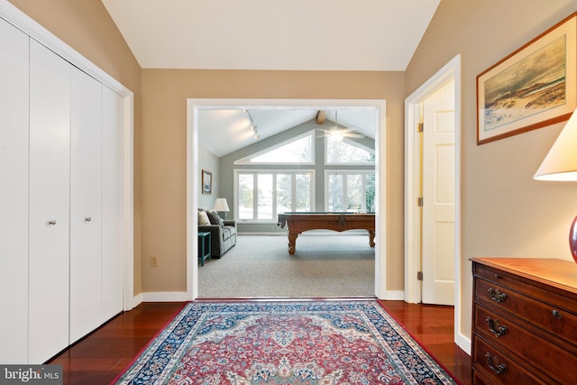 bedroom with a closet, vaulted ceiling, and dark hardwood / wood-style floors