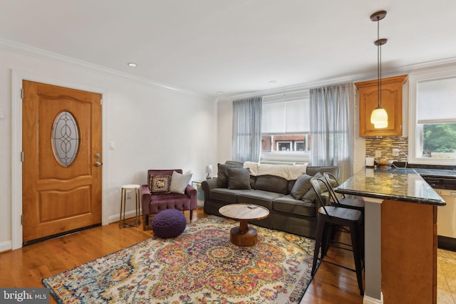 living room with crown molding and light wood-type flooring