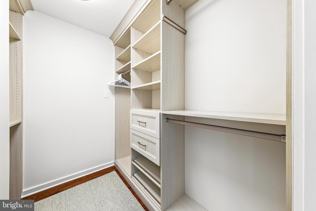 walk in closet featuring dark hardwood / wood-style floors