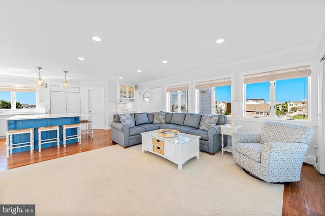 living room with plenty of natural light, crown molding, and light hardwood / wood-style flooring