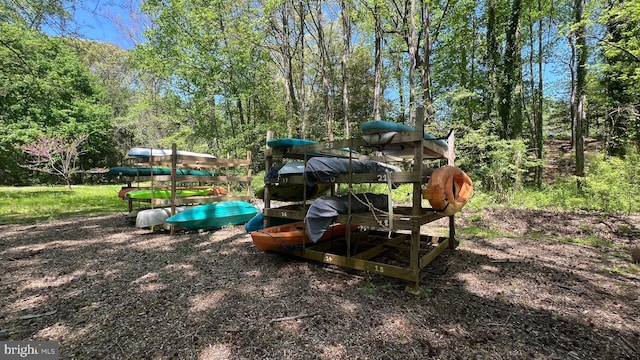 view of jungle gym