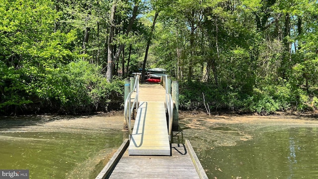 dock area with a water view