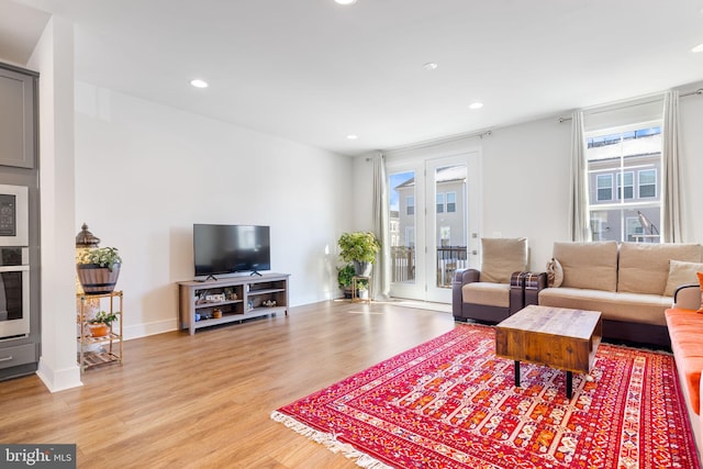 living room with light hardwood / wood-style floors